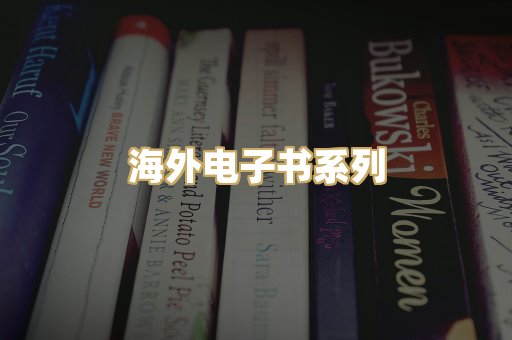 海外电子书系列
